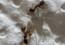 IMG_0293.png IMG_0293.png