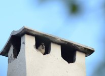 DSC_0343.JPG DSC_0343.JPG