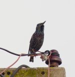 DSC_0388.JPG DSC_0388.JPG