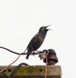 DSC_0391.JPG DSC_0391.JPG