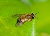 DSC_0123.JPG DSC_0123.JPG