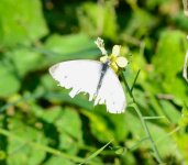 DSC_0140.JPG DSC_0140.JPG