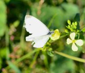 DSC_0141.JPG DSC_0141.JPG