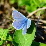 DSC_0148.JPG DSC_0148.JPG