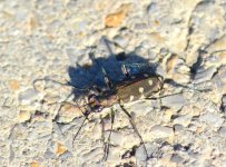 DSC_0218.JPG DSC_0218.JPG