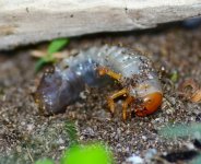 DSC_0254.JPG DSC_0254.JPG