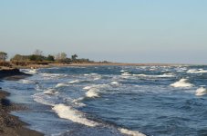 DSC_0261.JPG DSC_0261.JPG