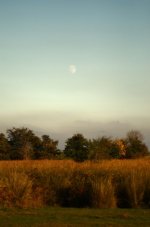 DSC_0283.JPG DSC_0283.JPG