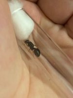 WhatsApp Görsel 2025-11-08 saat 12.44.31_34d681cd.jpg