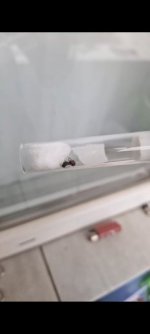 1000016243.jpg 1000016243.jpg