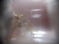 244e0b1e-56c9-41d0-8c45-aa92737f14c5.jpg 244e0b1e-56c9-41d0-8c45-aa92737f14c5.jpg