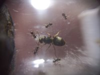 1361ebf1-84ec-4de9-aaea-163c71393b78.jpg 1361ebf1-84ec-4de9-aaea-163c71393b78.jpg