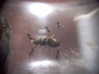 569fd907-7cf5-430e-962e-69f0c0a57175.jpg 569fd907-7cf5-430e-962e-69f0c0a57175.jpg