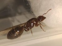 WhatsApp Image 2025-11-10 at 20.58.52.jpeg