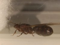 WhatsApp Image 2025-11-10 at 20.58.53 (1).jpeg