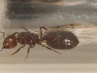 WhatsApp Image 2025-11-10 at 20.58.53.jpeg