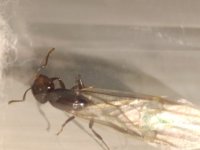 WhatsApp Image 2025-11-10 at 20.58.54.jpeg