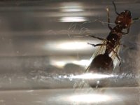 WhatsApp Image 2025-11-10 at 21.02.41 (1).jpeg