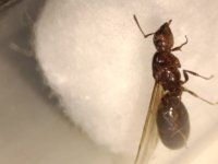 WhatsApp Image 2025-11-10 at 21.02.41.jpeg