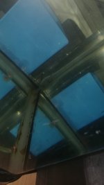 WhatsApp Image 2025-11-11 at 22.39.54.jpeg