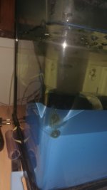 WhatsApp Image 2025-11-11 at 22.39.54 (1).jpeg