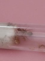 WhatsApp Image 2025-11-12 at 20.12.39.jpeg