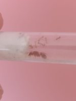 WhatsApp Image 2025-11-12 at 20.12.41.jpeg