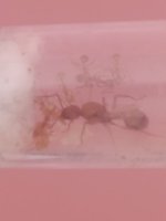 WhatsApp Image 2025-11-12 at 20.12.41 (1).jpeg