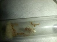 WhatsApp Image 2025-11-12 at 20.57.32 (1).jpeg