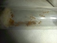 WhatsApp Image 2025-11-12 at 20.57.32 (2).jpeg