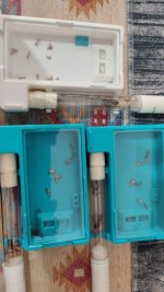 WhatsApp Image 2025-11-12 at 21.10.02.jpeg