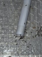 WhatsApp Image 2025-11-13 at 21.37.35.jpeg WhatsApp Image 2025-11-13 at 21.37.35.jpeg