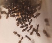 IMG_20251115_124754.jpg IMG_20251115_124754.jpg