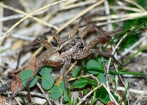 DSC_0462.JPG DSC_0462.JPG