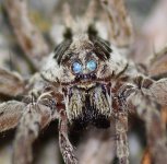 DSC_0464.JPG DSC_0464.JPG