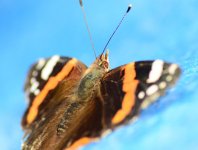 DSC_0840.JPG DSC_0840.JPG