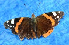 DSC_0848.JPG DSC_0848.JPG