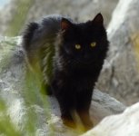 DSC_0773.JPG DSC_0773.JPG