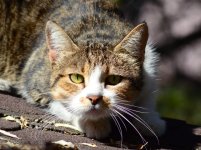 DSC_0799.JPG DSC_0799.JPG