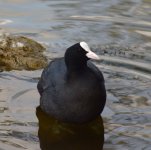 DSC_0704.JPG DSC_0704.JPG