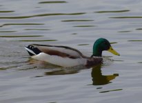 DSC_0708.JPG DSC_0708.JPG