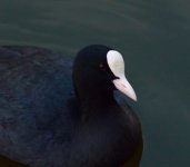 DSC_0722.JPG DSC_0722.JPG