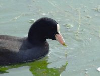 DSC_0776.JPG DSC_0776.JPG