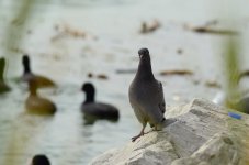 DSC_0783.JPG DSC_0783.JPG