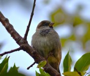 DSC_0864.JPG DSC_0864.JPG