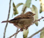 DSC_0867.JPG DSC_0867.JPG