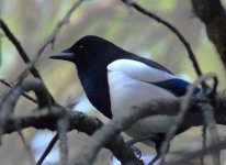 DSC_0613.JPG DSC_0613.JPG