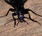 DSC_0805.JPG DSC_0805.JPG