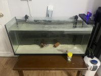 IMG_8701.jpeg IMG_8701.jpeg