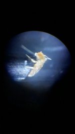 Screenshot_20251126-072924_Video Player.jpg